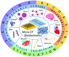 Graphical abstract: Fabrication of conducting polymer microelectrodes and microstructures for bioelectronics