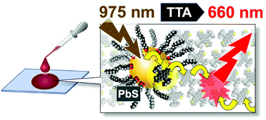 Graphical abstract: Near-infrared-to-visible upconversion from 980 nm excitation band by binary solid of PbS quantum dot with directly attached emitter