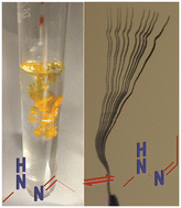 Graphical abstract: Fast and reversible bidirectional photomechanical response displayed by a flexible polycrystalline aggregate of a hydrazone