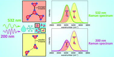 Graphical abstract: UV resonance Raman spectroscopy of weakly hydrogen-bonded water in the liquid phase and on ice and snow surfaces