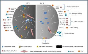 Graphical abstract: Sorption–desorption of some transition metals, boron and sulphur in a multi-ionic system onto phyto-biochars prepared at two pyrolysis temperatures