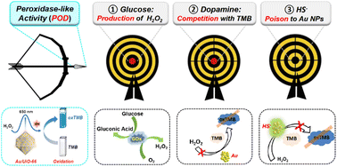 Graphical abstract: Metal–organic frameworks loaded Au nanozymes with enhanced peroxidase-like activity for multi-targeted biodetection