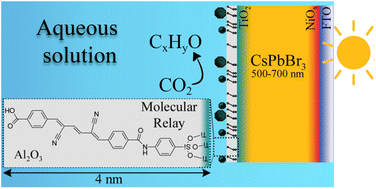 Graphical abstract: Molecular relays in nanometer-scale alumina: effective encapsulation for water-submersed halide perovskite photocathodes