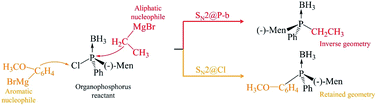 Graphical abstract: Theoretical study of a derivative of chlorophosphine with aliphatic and aromatic Grignard reagents: SN2@P or the novel SN2@Cl followed by SN2@C?