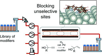 Graphical abstract: Homogeneous catalyst modifier for alkyne semi-hydrogenation: systematic screening in an automated flow reactor and computational study on mechanisms