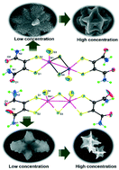 Graphical abstract: Structural control in the nanoassembly of the tungsten and molybdenum dithiolene complex analog