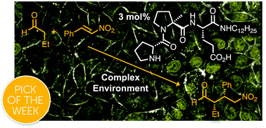 Graphical abstract: Stereoselective peptide catalysis in complex environments – from river water to cell lysates