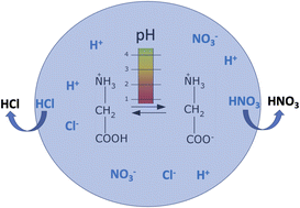 Graphical abstract: Direct quantification of changes in pH within single levitated microdroplets and the kinetics of nitrate and chloride depletion