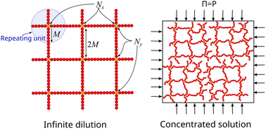 Graphical abstract: Molecular dynamics study of the swelling and osmotic properties of compact nanogel particles