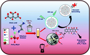 Graphical abstract: Doxycycline detection and degradation in aqueous media via simultaneous synthesis of Fe-N@carbon dots and Fe3O4-carbon dot hybrid nanoparticles: a one arrow two hawk approach