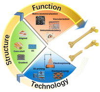 Graphical abstract: Electrospun nanofibers for bone regeneration: from biomimetic composition, structure to function