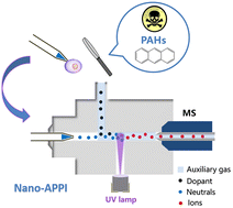 Graphical abstract: Nanoliter atmospheric pressure photoionization-mass spectrometry for direct bioanalysis of polycyclic aromatic hydrocarbons