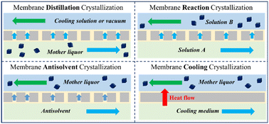 Graphical abstract: Recent advances in membrane crystallization