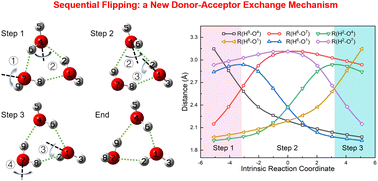 Graphical abstract: Sequential flipping: the donor–acceptor exchange mechanism in water trimers