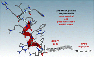 Graphical abstract: Mapping the structure–activity landscape of non-canonical peptides with MAP4 fingerprinting