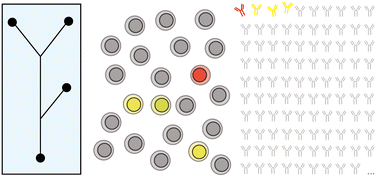 Graphical abstract: Antibodies, repertoires and microdevices in antibody discovery and characterization