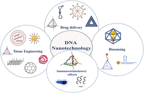 Graphical abstract: Structural DNA nanotechnology at the nexus of next-generation bio-applications: challenges and perspectives