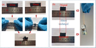 Graphical abstract: Mechanical and electrical properties of a modified carbon nanotube-mediated hydrogel as a strain sensor