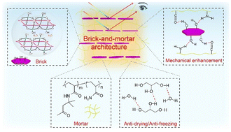 Graphical abstract: Nacre-inspired layered composite gels with broad tunable mechanical strength and structural color for stress visualization