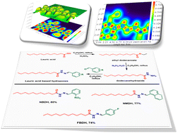 Graphical abstract: Potential anticancer and antioxidant lauric acid-based hydrazone synthesis and computational study toward the electronic properties