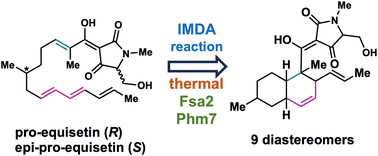 Graphical abstract: Elucidation of the stereocontrol mechanisms of the chemical and biosynthetic intramolecular Diels–Alder cycloaddition for the formation of bioactive decalins