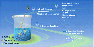 Graphical abstract: Non-destructive real-time monitoring and investigation of the self-assembly process using fluorescent probes