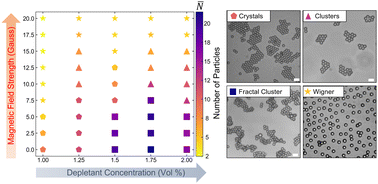 Graphical abstract: Magnetic field enabled in situ control over the structure and dynamics of colloids interacting via SALR potentials