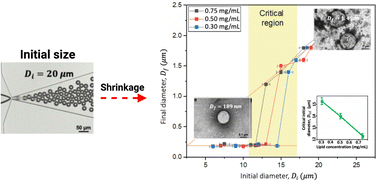 Graphical abstract: Microfluidic nanobubbles: observations of a sudden contraction of microbubbles into nanobubbles