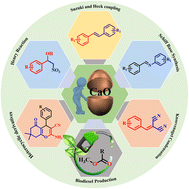 Graphical abstract: Biogenic derived egg shell and its derivatives as solid base heterogeneous catalysts for organic transformations: a comprehensive review