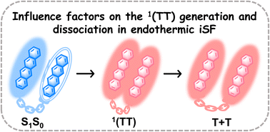 Graphical abstract: Intramolecular singlet fission and triplet exciton harvesting in tetracene oligomers for solar energy conversion