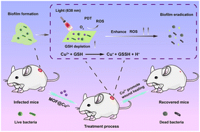 Graphical abstract: Copper(ii)-infused porphyrin MOF: maximum scavenging GSH for enhanced photodynamic disruption of bacterial biofilm