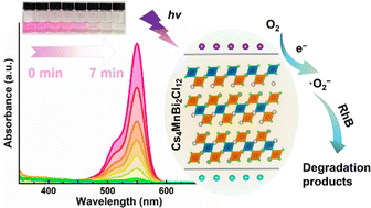 Graphical abstract: Hydrothermal synthesis of stable lead-free Cs4MnBi2Cl12 perovskite single crystals for efficient photocatalytic degradation of organic pollutants