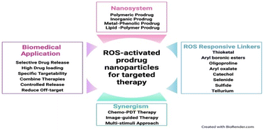 Graphical abstract: Reactive oxygen species driven prodrug-based nanoscale carriers for transformative therapies