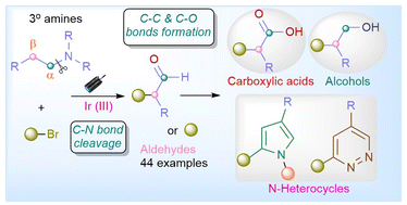 Graphical abstract: Iridium(iii)-catalyzed photoredox cross-coupling of alkyl bromides with trialkyl amines: access to α-alkylated aldehydes