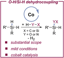 Graphical abstract: Streamlining Si–O bond formation through cobalt-catalyzed dehydrocoupling