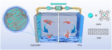 Graphical abstract: Simultaneous production of CO and H2O2 by paired electrolysis coupling CO2 reduction and water oxidation