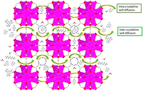 Graphical abstract: Exploring the effect of molecular size and framework functionalisation on transport in metal–organic frameworks using pulsed-field gradient nuclear magnetic resonance