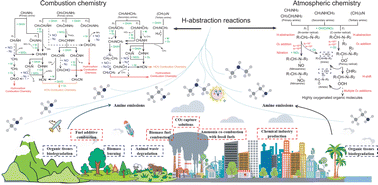 Graphical abstract: Insights into the role of the H-abstraction reaction kinetics of amines in understanding their degeneration fates under atmospheric and combustion conditions