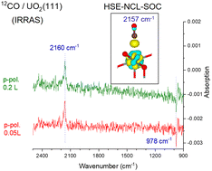 Graphical abstract: Exploring molecule–surface interactions of urania via IR spectroscopy and density functional theory