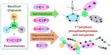 Graphical abstract: Synthesis and structures of molecular beryllium Grignard analogues featuring terminal and bridging pseudohalides