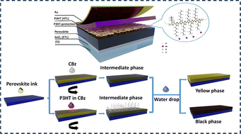 Graphical abstract: All-inorganic CsPbI2Br perovskite solar cells with thermal stability at 250 °C and moisture-resilience via polymeric protection layers