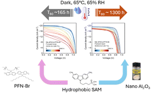 Graphical abstract: Improved stability and electronic homogeneity in perovskite solar cells via a nanoengineered buried oxide interlayer