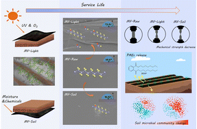 Graphical abstract: Assessing the aging and environmental implications of polyethylene mulch films in agricultural land