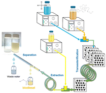 Graphical abstract: An innovative microreactor approach for sustainable biodiesel production: process design, continuous purification and comparative LCA
