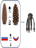 Graphical abstract: Next-gen biomimetic actuators: bilayer hydrogel evolution in the 21st century and its advancements from a post-2020 perspective