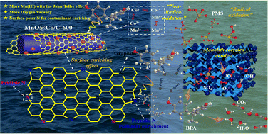 Graphical abstract: Construction of phase-separated Co/MnO synergistic catalysts and integration onto sponge for rapid removal of multiple contaminants