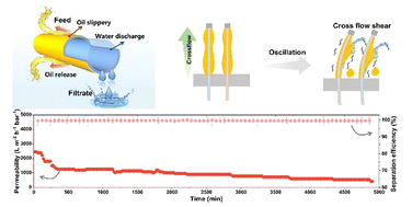 Graphical abstract: Slippery hydrogel surface on PTFE hollow fiber membranes for sustainable emulsion separation