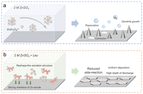 Graphical abstract: Guiding uniform Zn deposition with a multifunctional additive for highly utilized Zn anodes