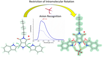 Graphical abstract: Intensified electrochemiluminescence and photoluminescence via supramolecular anion recognition interactions
