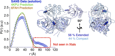 Graphical abstract: Extended conformations of bifurcating electron transfer flavoprotein constitute up to half the population, possibly mediating conformational change
